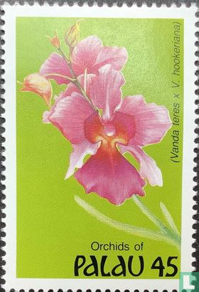 Orchideeën     