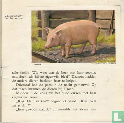 Het varken dat spaarvarken wilde zijn - Image 3