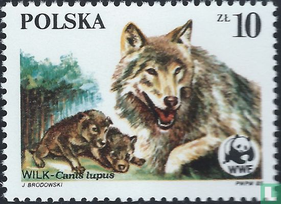 WWF - Wolf