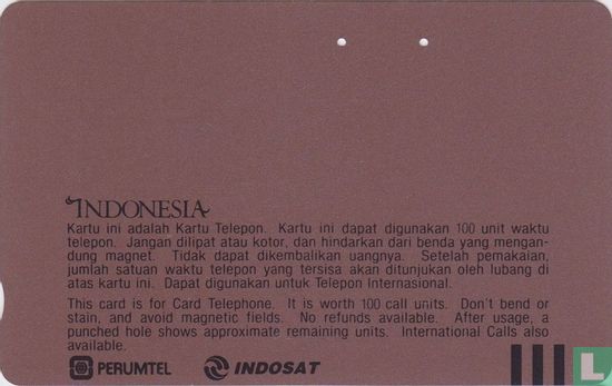 Satellite and map of Indonesia - Bild 2