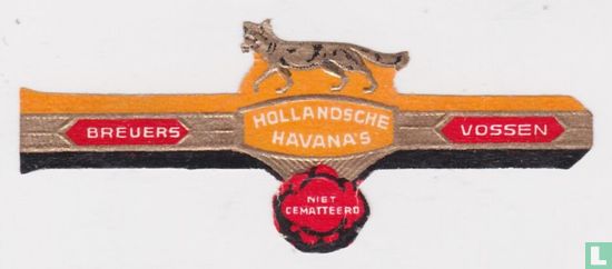Dutch Havana's not matted - Breuers - Vossen - Image 1