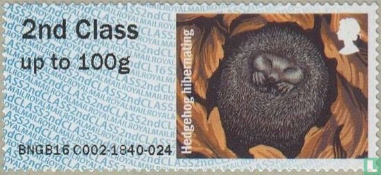 Europäischer Igel