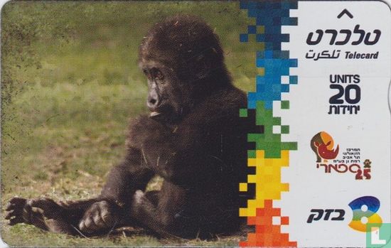 Gorilla - Image 1