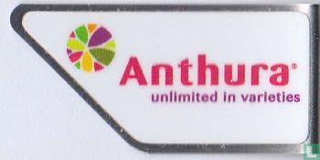 Anthura unlimited in varieties - Bild 1