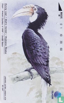 Burung Lipat - Image 1