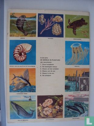 De dieren van de zee - Afbeelding 2