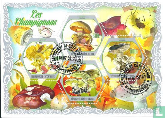 champignons