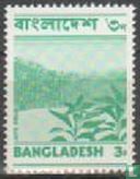 Bilder von Bangladesch