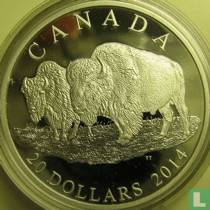 Canada 20 dollars 2014 (PROOF) "Bison - The bull and his mate" - Image 1