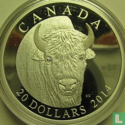 Canada 20 dollars 2014 (PROOF) "Bison - A portrait" - Image 1