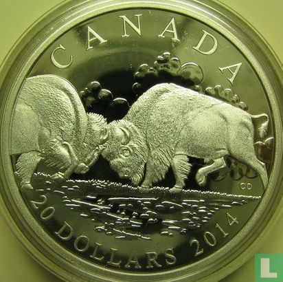 Kanada 20 Dollar 2014 (PP) "Bison - The Fight" - Bild 1