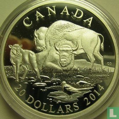 Canada 20 dollars 2014 (PROOF) "Bison - A family at rest" - Image 1