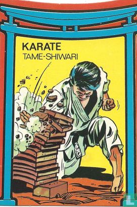 Karate Tame-Shiwari