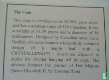 Canada 20 dollars 2008 (PROOF) "Crystal Raindrop" - Afbeelding 3