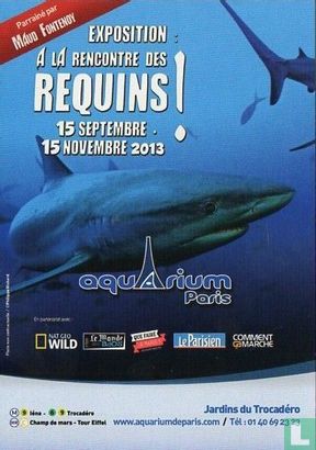 Rencontre des Requins - Aquarium Paris - Afbeelding 1