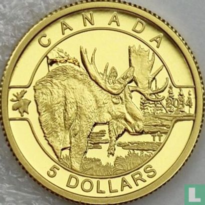 Canada 5 dollars 2014 (PROOF) "Moose" - Image 1
