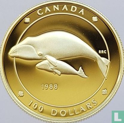 Canada 100 dollars 1988 (PROOF) "Whale" - Afbeelding 1