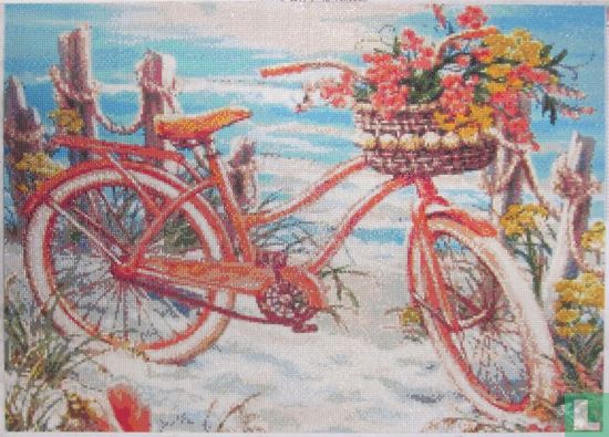 fiets bij strand