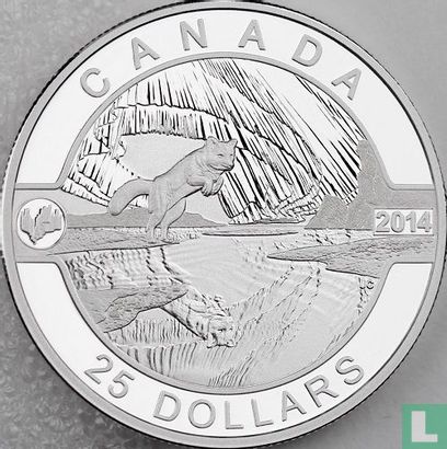 Canada 25 dollars 2014 (PROOF) "Arctic fox and northern lights" - Image 1
