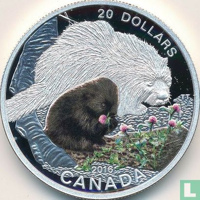 Canada 20 dollars 2016 (PROOF) "Baby animals - Porcupine" - Afbeelding 1