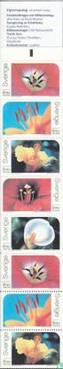 Greeting stamps - Flowers - Image 2