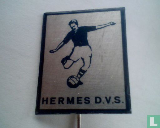 Hermes D.V.S.