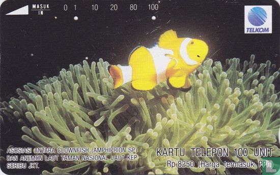 Asosiadi Antara Clownfish - Afbeelding 1