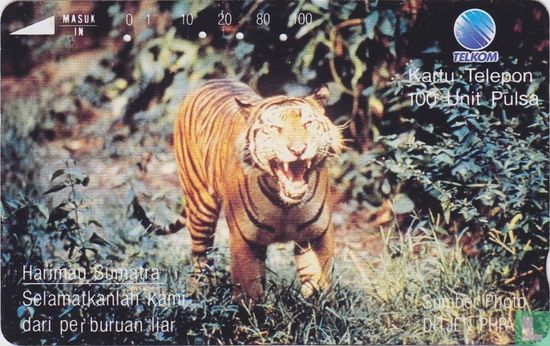 Harimau Sumatra - Bild 1