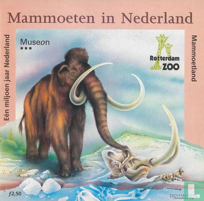 Mammoeten in Nederland - Afbeelding 1