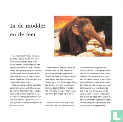 Mammoeten in Nederland - Afbeelding 3