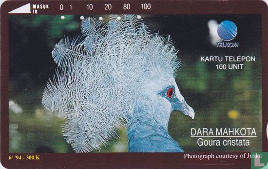 Dara Mahkota - Afbeelding 1