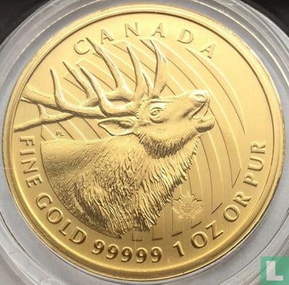 Canada 200 dollars 2017 (PROOF - coincard) "Wapiti" - Afbeelding 3