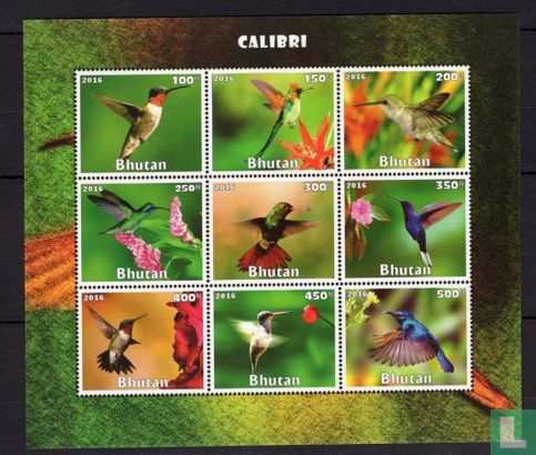 Bhutan - Hummingbirds