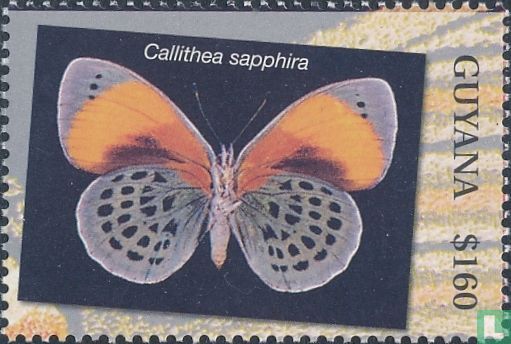 Papillons      