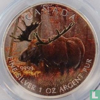 Canada 5 dollars 2012 (coloured on both sides) "Moose" - Image 2
