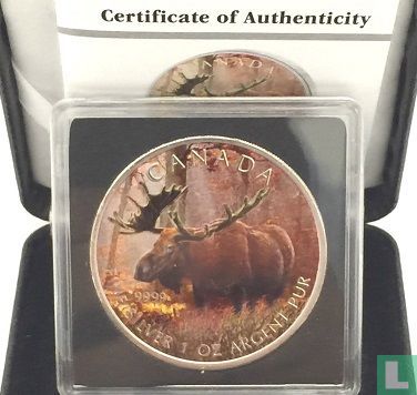 Canada 5 dollars 2012 (coloured on both sides) "Moose" - Image 3