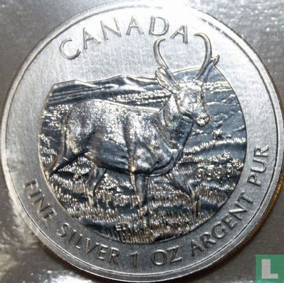 Canada 5 dollars 2013 (kleurloos) "Pronghorn antelope" - Afbeelding 2