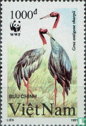 WWF - Cranes