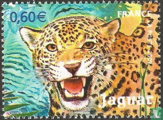 Guyanischer Jaguar