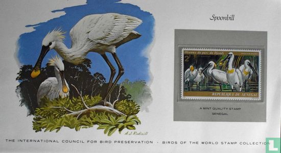 Vogels uit het Djoudj Nationaal Park