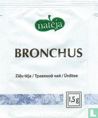 Bronchus - Image 1