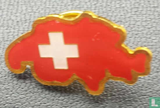 Vlag Zwitserland in landkaart