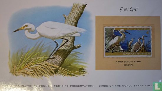 Vogels uit het Djoudj Nationaal Park