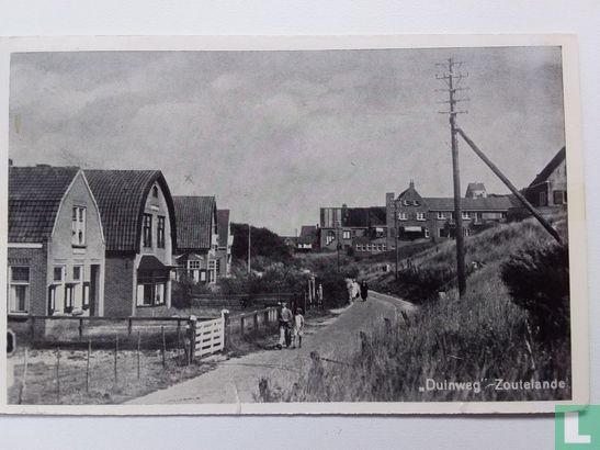 Duinweg - Afbeelding 1