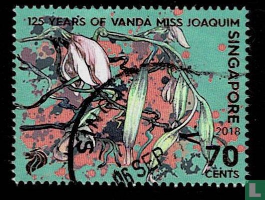 125 years Orchid "Vanda Miss Joaquim"