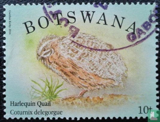 Spektakuläre Vögel aus Botswana