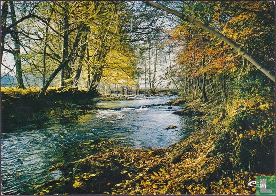 Rivière Ardennaise