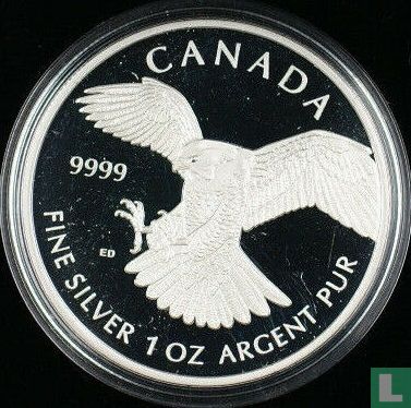 Canada 5 dollars 2014 (BE) "Peregrine Falcon" - Image 2