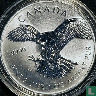 Canada 5 dollars 2014 (colourless) "Peregrine falcon" - Image 2