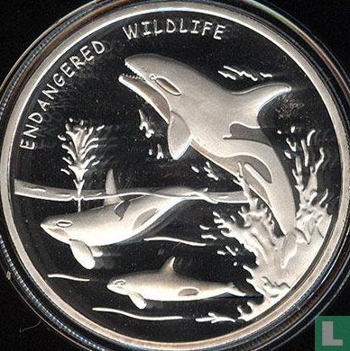 Congo-Kinshasa 10 francs 2011 (PROOF) "Endangered wildlife - Dolphin" - Image 2
